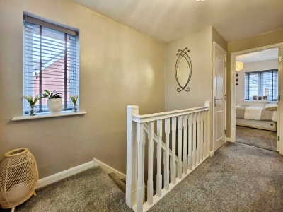 Picture 14